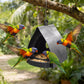 📢 55 % de réduction ⏰ Mangeoire suspendue pour oiseaux avec toit – Observation facile, nourriture protégée & design durable ! 🐦🌧️