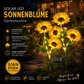 🌻 57% DE RÉDUCTION ! ☀️ Lampes Solaires Tournesol Étanches – Pétales Réalistes, IP65 & Allumage Automatique – 8–12 h d’Éclairage – Parfaites pour le Jardin ou la Terrasse 🌿✨🏡