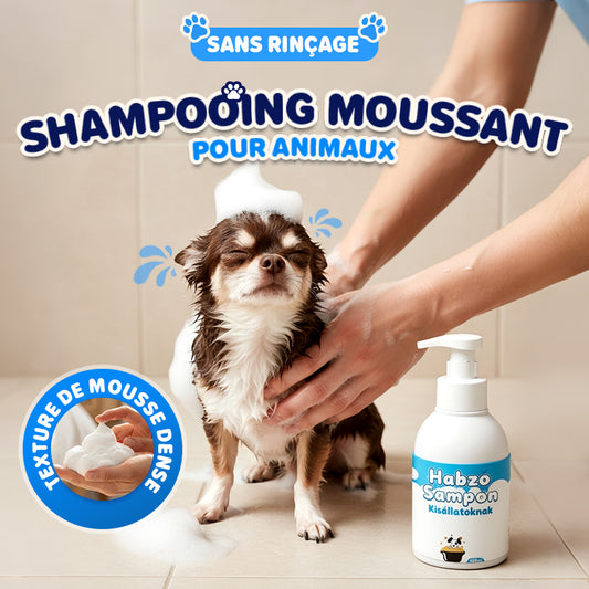 🔥 50 % de réduction ! 🐾 Mousse désodorisante sans rinçage pour animaux – Formule végétale, 400 ml & pompe pratique 🌿🐶