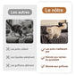 💐55% DE RÉDUCTION ! Housse de canapé en peluche ultra douce – Confort comme un nuage ☁️🛋️【Offre Limitée】