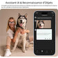 👓✨Lunettes caméra AI Smart 4K, vidéos HD 1080P, verres photochromiques, ultra grand-angle anti-vibration, enregistrement Vlog, traduction IA, assistant vocal IA, oreilles libres, transmission Wi‑Fi, contrôle de la musique