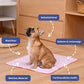 🐶 56 % de réduction 🐱 Tapis rafraîchissant d'été pour animaux de compagnie avec gel rafraîchissant non toxique
