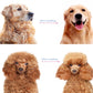 💐56% DE RÉDUCTION🐩Peigne démêlage pour chiens/chats – Poils longs & courts efficace 🌀