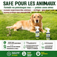 🌿⚡ Désherbant usage domestique – Désherbage facile et sans stress au jardin, élimine les mauvaises herbes rapidement, pour des allées, terrasses et massifs propres, sans effort 🏡✅