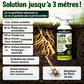 🌿⚡ Désherbant usage domestique – Désherbage facile et sans stress au jardin, élimine les mauvaises herbes rapidement, pour des allées, terrasses et massifs propres, sans effort 🏡✅