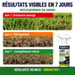 🌿⚡ Désherbant usage domestique – Désherbage facile et sans stress au jardin, élimine les mauvaises herbes rapidement, pour des allées, terrasses et massifs propres, sans effort 🏡✅