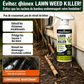 🌿⚡ Désherbant usage domestique – Désherbage facile et sans stress au jardin, élimine les mauvaises herbes rapidement, pour des allées, terrasses et massifs propres, sans effort 🏡✅