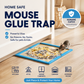 ⏳🔥50 % DE RÉDUCTION POUR UNE DURÉE LIMITÉE ! ⏰Piège à souris adhésif pour usage intérieur à la maiso