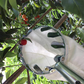📢📢55 % DE RÉDUCTION !! ⏰Tête de cueille-fruits avec panier – Conception durable, fixation facile et parfaite pour atteindre les branches hautes sans échelle 🌳