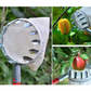 📢📢55 % DE RÉDUCTION !! ⏰Tête de cueille-fruits avec panier – Conception durable, fixation facile et parfaite pour atteindre les branches hautes sans échelle 🌳
