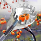 📢📢55 % DE RÉDUCTION !! ⏰Tête de cueille-fruits avec panier – Conception durable, fixation facile et parfaite pour atteindre les branches hautes sans échelle 🌳