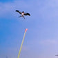 🥳 PROMOTION 2026 🥳💞 PLUS DE 50 000 EXEMPLAIRES VENDUS ! 💥👨‍👦✨ Le compagnon idéal pour s'amuser en famille en plein air | Kit de cerf-volant de pêche pour créer des souvenirs inoubliables au printemps 50 % DE RÉDUCTION 🎣🪁