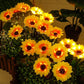 🌻 57% DE RÉDUCTION ! ☀️ Lampes Solaires Tournesol Étanches – Pétales Réalistes, IP65 & Allumage Automatique – 8–12 h d’Éclairage – Parfaites pour le Jardin ou la Terrasse 🌿✨🏡