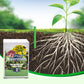 📢📢3 achetés 5 offerts⏰Bâtonnets d'engrais pour plantes à libération lente