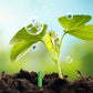 📢📢3 achetés 5 offerts⏰Bâtonnets d'engrais pour plantes à libération lente