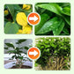 📢📢3 achetés 5 offerts⏰Bâtonnets d'engrais pour plantes à libération lente