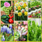 📢📢3 achetés 5 offerts⏰Bâtonnets d'engrais pour plantes à libération lente