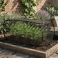 ⏳Offre limitée dans le temps : 50 % de réduction⏰Bâche de protection pour plantes Pop-Up🌱🛡️