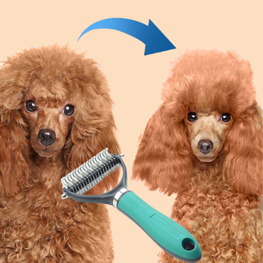 🐾✨🐶 OFFRE SPÉCIALE -50% !💐 Brosse de Toilettage Double Face pour Chiens & Chats – 2 Côtés, Manche Ergonomique & Facile à Nettoyer (Orange/Vert)