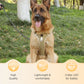 📢📢54 % DE RÉDUCTION !! ⏰Harnais anti-traction pour chien avec laisse et collier à LED