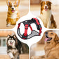 📢📢54 % DE RÉDUCTION !! ⏰Harnais anti-traction pour chien avec laisse et collier à LED