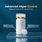 💐🌿 PROMO FLASH 54% ! Traitement Anti-Algues pour Aquarium – 100 Comprimés, Action Rapide 24h, Sans Danger pour Poissons & Plantes, Rétablit l'Équilibre de l'Eau ✨