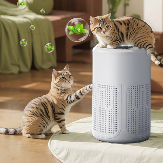 🌬️ 54 % DE RÉDUCTION! 🏠 Purificateur d'air pour la maison – Filtration multicouche, grande surface de couverture et fonctionnement ultra-silencieux ✨