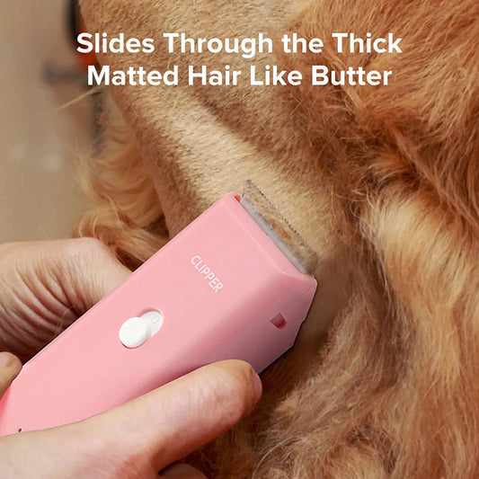 ✂️📢 55 % DE RÉDUCTION !🐶 Tondeuse sans fil et silencieuse pour animaux – Pour chiens, chats et petits animaux de compagnie, douce et à faibles vibrations ✨