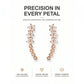 ✨ 56% DE RÉDUCTION MAINTENANT ! 🌟 Boucles d'oreilles grimpeuses étoile fleur en strass – Cristaux scintillants, design remontant confortable – parfaites pour le glamour quotidien ou les occasions spéciales 🌸