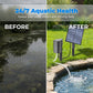 ☀️🐟 PROMO FLASH 60% ! Aérateur Solaire pour Bassin avec Pompe à Air – 7V/2.5W, Kit Complet, Installation Facile, Santé Aquatique 24/7 ✨