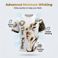 🦁🔥 PROMO FLASH 60% ! Ensemble Graphique Lion Homme – T-shirt + Short, Respirant, Streetwear Urbain, Tailles S-4XL, Idéal Été 😎
