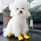🐶52 % de réduction 👟Chaussettes antidérapantes et imperméables pour animaux de compagnie
