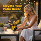 🐝🌸🌙 OFFRE LIMITÉE 54% DE RÉDUCTION! Lumière Abeille Solaire Suspendue – Jolie Abeille Lumineuse, Allumage Automatique au Crépuscule, Résiste aux Intempéries – Ajoute une Touche Magique à Votre Jardin, Terrasse ou Balcon 🏡✨