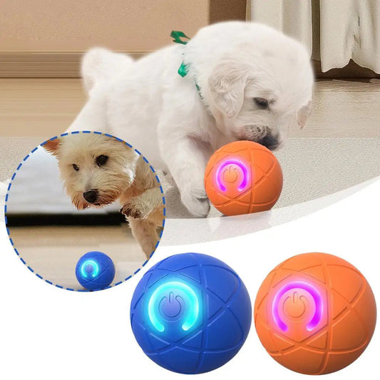 🥳 GRANDE PROMO 2026 🥳 💞 Plus de 50 000 exemplaires vendus ! 👵❤️ -54 % DE RÉDUCTION ! Bestseller : balle rebondissante interactive intelligente pour animaux domestiques