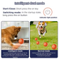 🥳 GRANDE PROMO 2026 🥳 💞 Plus de 50 000 exemplaires vendus ! 👵❤️ -54 % DE RÉDUCTION ! Bestseller : balle rebondissante interactive intelligente pour animaux domestiques