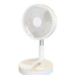 🌬️❄️Ventilateur de sol télescopique multifonction portable – Restez au frais où que vous soyez ✨