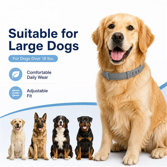 🥳 Best-seller 2026 🥳💞 Plus de 50 000 exemplaires vendus ! 🐾🛡️ Collier anti-puces et anti-tiques réglable — Protection durable, résistant à l'eau et adapté à la baignade. Sans danger pour votre animal. Idéal pour le printemps et l'été ! 🌿✨