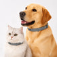 🥳 Best-seller 2026 🥳💞 Plus de 50 000 exemplaires vendus ! 🐾🛡️ Collier anti-puces et anti-tiques réglable — Protection durable, résistant à l'eau et adapté à la baignade. Sans danger pour votre animal. Idéal pour le printemps et l'été ! 🌿✨