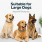 🥳 Best-seller 2026 🥳💞 Plus de 50 000 exemplaires vendus ! 🐾🛡️ Collier anti-puces et anti-tiques réglable — Protection durable, résistant à l'eau et adapté à la baignade. Sans danger pour votre animal. Idéal pour le printemps et l'été ! 🌿✨