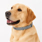 🥳 Best-seller 2026 🥳💞 Plus de 50 000 exemplaires vendus ! 🐾🛡️ Collier anti-puces et anti-tiques réglable — Protection durable, résistant à l'eau et adapté à la baignade. Sans danger pour votre animal. Idéal pour le printemps et l'été ! 🌿✨