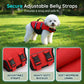 🔥 57% DE RÉDUCTION ! 🐶 Gilet de Sauvetage pour Chien – Mélange Premium – Haute Flottabilité & Ripstop for Sécurité Aquatique