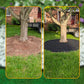 🏡 PROMO FLASH : 53% DE RÉDUCTION ! 🌿 Bordure de Jardin 10m – PE – 30 Piquets & Pose Rapide Sans Creuser for Pelouses & Massifs 🌱