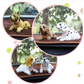 🐶 52% DE RÉDUCTION! 🚗 Figurine Chien Hochet pour Tableau de Bord – Mouvement automatique, peluche premium & 7 races – Cadeau parfait pour les amoureux des chiens 🎁