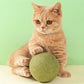 🐱🌿 BOULE GÉANTE D'HERBE À CHAT NATURELLE 10 cm – 52 % DE RÉDUCTION ! Jouet à mâcher pour chats, interactif à la menthe, soulage le stress et nettoie les dents ! 🧶✨