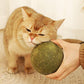 🐱🌿 BOULE GÉANTE D'HERBE À CHAT NATURELLE 10 cm – 52 % DE RÉDUCTION ! Jouet à mâcher pour chats, interactif à la menthe, soulage le stress et nettoie les dents ! 🧶✨