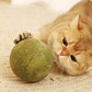 🐱🌿 BOULE GÉANTE D'HERBE À CHAT NATURELLE 10 cm – 52 % DE RÉDUCTION ! Jouet à mâcher pour chats, interactif à la menthe, soulage le stress et nettoie les dents ! 🧶✨