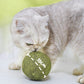 🐱🌿 BOULE GÉANTE D'HERBE À CHAT NATURELLE 10 cm – 52 % DE RÉDUCTION ! Jouet à mâcher pour chats, interactif à la menthe, soulage le stress et nettoie les dents ! 🧶✨