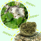 🐱🌿 BOULE GÉANTE D'HERBE À CHAT NATURELLE 10 cm – 52 % DE RÉDUCTION ! Jouet à mâcher pour chats, interactif à la menthe, soulage le stress et nettoie les dents ! 🧶✨