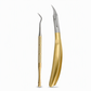 ✂️🦅 PROMO FLASH : 50% DE RÉDUCTION ! Kit Pince Coupe-Ongles Incarnés Professionnel – Acier Chirurgical, Lame Bec d'Aigle 25° & Lève-Ongle Inclus for une Douleur Instantanément Soulagée ✨